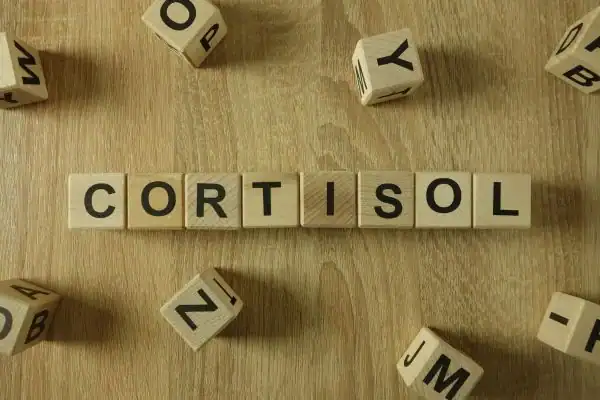 The Hidden Connection: How Stress Shapes Your Fitness and Body Composition 2 Image saying "Cortisol" and how stress Harefield impacts your wellbeing and bodies shape